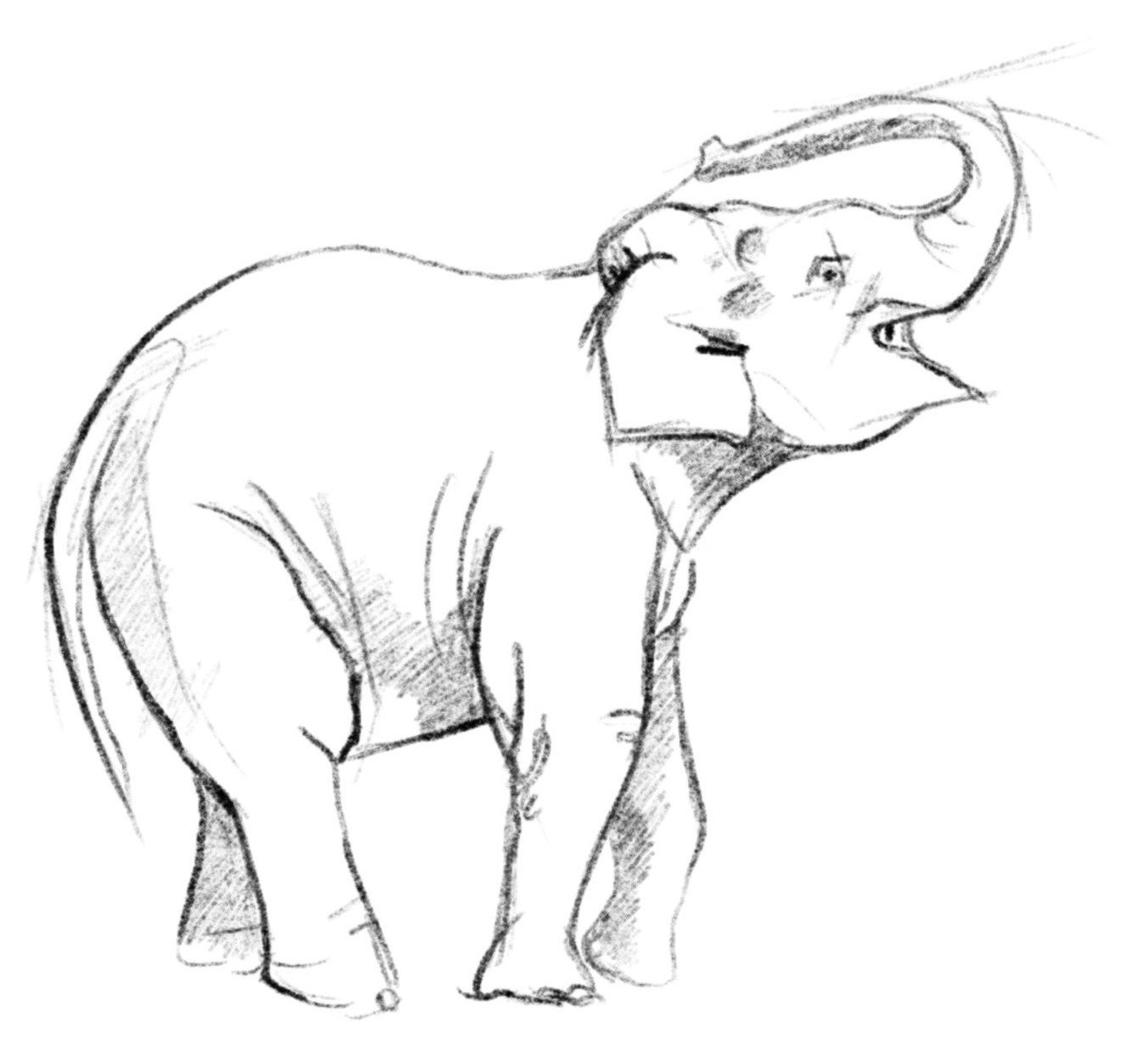 elifant-klein
